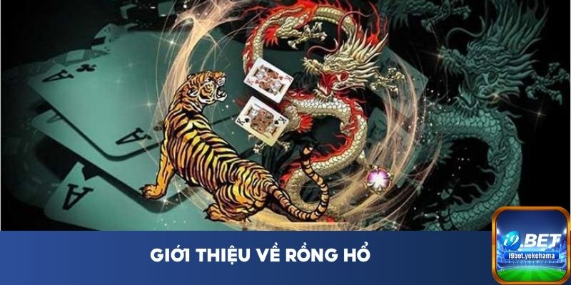 Giới thiệu về Rồng Hổ 