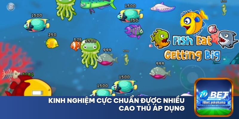 Kinh nghiệm cực chuẩn được nhiều cao thủ áp dụng