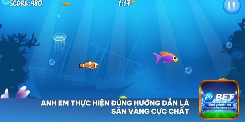 Anh em thực hiện đúng hướng dẫn là săn vàng cực chất